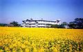 Scenic View of Brahmaputra Men's Hostel